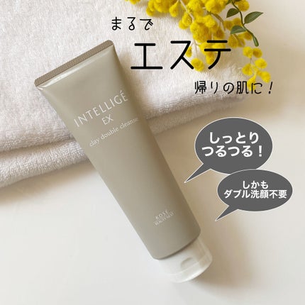 クレイ W クレンズ/アンテリージェEX/クレンジングクリームを使ったクチコミ(1枚目)