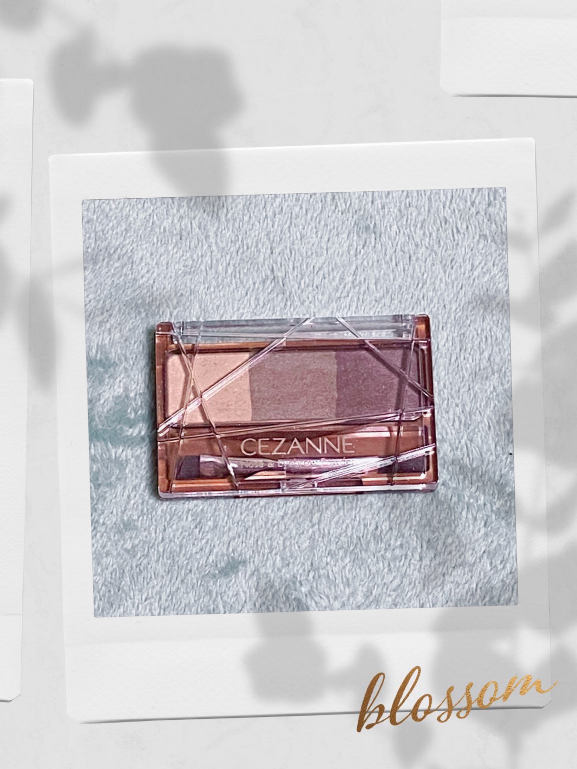 ノーズ＆アイブロウパウダー/CEZANNE/パウダーアイブロウを使ったクチコミ（1枚目）