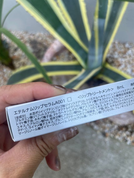 エテルナムリップセラム /エテルナム/リップ美容液を使ったクチコミ(2枚目)