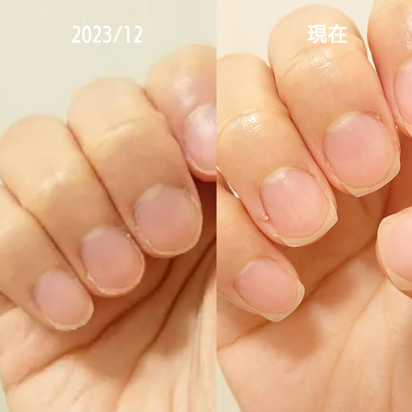 シア ネイルオイル/L&#39;OCCITANE/ネイルオイル・トリートメントを使ったクチコミ（2枚目）