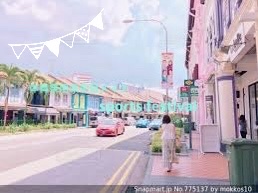 グロウフルールチークス/キャンメイク/パウダーチークを使ったクチコミ（1枚目）