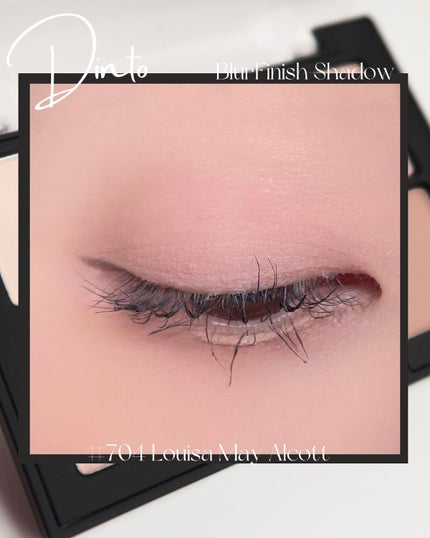 ブラーフィニシュシャドウパレット/Dinto/アイシャドウパレットを使ったクチコミ(5枚目)