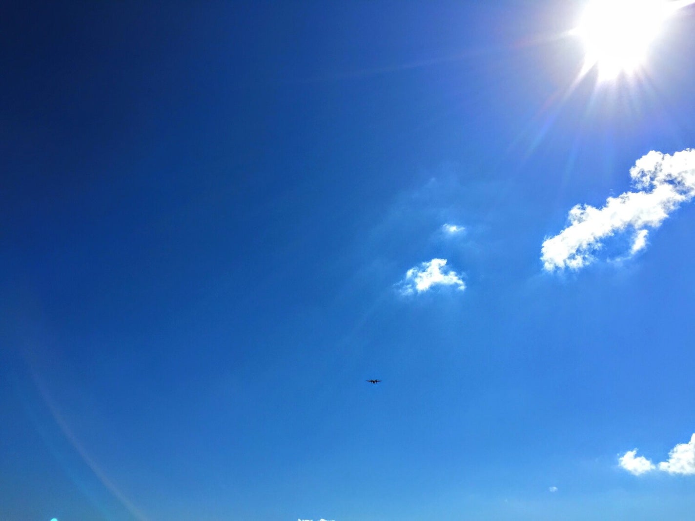 【夏におすすめ】ボディミルク20選!さらさらにする方法も解説【プチプラ・デパコス】の画像