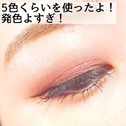 エクスプローラ12色 動物アイシャドウパレット/PERFECT DIARY/アイシャドウパレットを使ったクチコミ(5枚目)