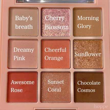 ワンピックアイシャドウパレット/APLIN/アイシャドウパレットを使ったクチコミ(3枚目)