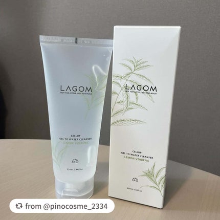 ラゴム ジェルトゥウォーター クレンザー(LV)(朝用洗顔)/LAGOM /その他洗顔料を使ったクチコミ(2枚目)