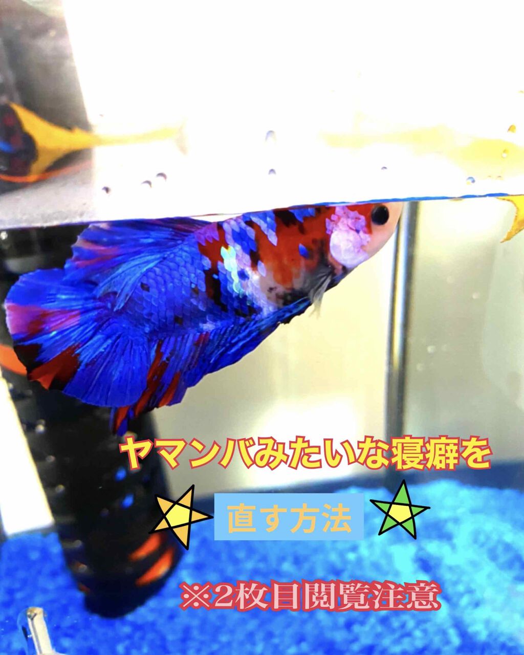 ヤマンバみたいな寝癖を直す方法
今日はヤマンバみたいな寝癖な私が
どうやって寝癖を直しているのか


紹介します❗❗



色々試しましたが
良い方法はこれがダントツ･:*+.(( °ω° ))/.:+



有名な方法としてホットタオルを