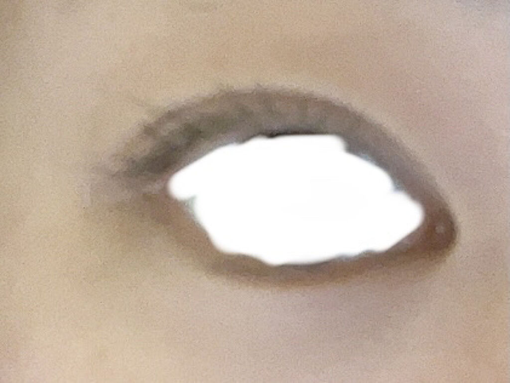 ロングラッシュマスカラN/CEZANNE/マスカラを使ったクチコミ（2枚目）