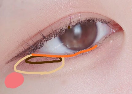 クイックラッシュカーラー/キャンメイク/マスカラ下地を使ったクチコミ(5枚目)