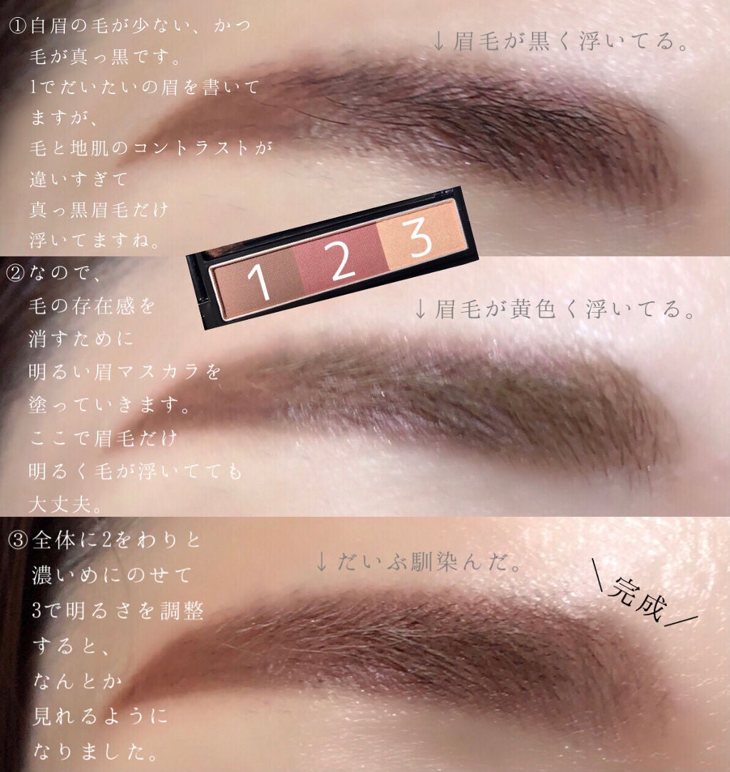 ヴィセ リシェ アイブロウパウダー/Visée/パウダーアイブロウを使ったクチコミ(3枚目)