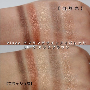 パノラマデザイン アイパレット/Visée/アイシャドウパレットを使ったクチコミ（4枚目）