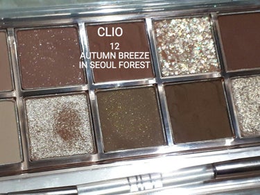 CLIO
プロ アイ パレット
12
AUTUMN BREEZE IN SEOUL FOREST
オータム ブリーズ イン ソウル フォレスト

デイリーで使えるカラーとトレンディなカラーの組み合わせで