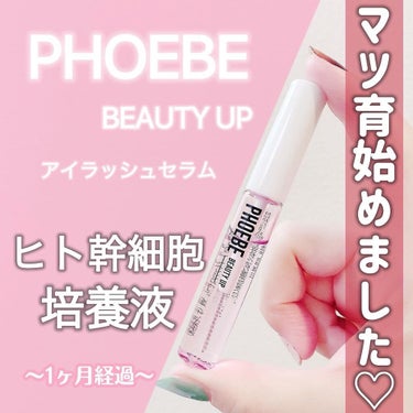 アイラッシュセラム/PHOEBE BEAUTY UP/まつげ美容液を使ったクチコミ（2枚目）