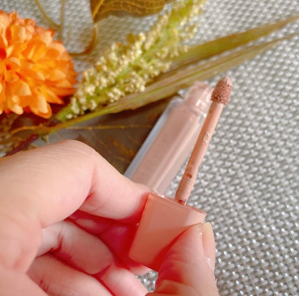 ウインク アイ シェード プライマー 03 ニュートラルナッツ/Javin De Seoul/リキッドアイシャドウを使ったクチコミ(2枚目)