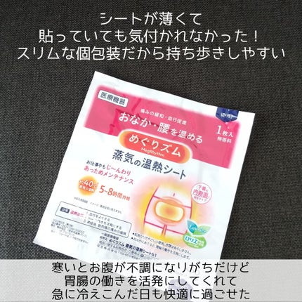 蒸気の温熱シート 下着の内側面に貼るタイプ/めぐりズム/その他を使ったクチコミ(3枚目)
