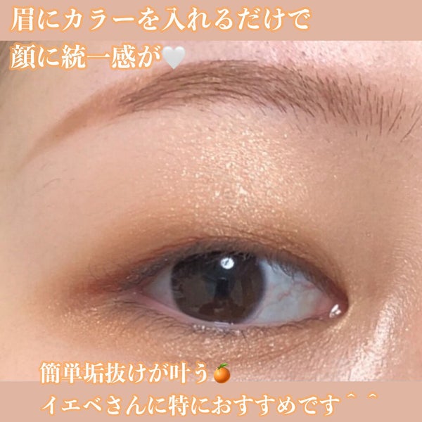 ノーズ&アイブロウパウダー/CEZANNE/パウダーアイブロウ by ひとえ🌷