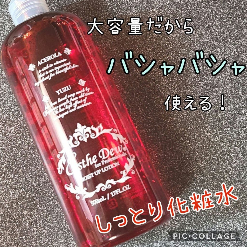 フォープロフェッショナルズ モイストアップローション/Esthe Dew (エステデュウ)/化粧水を使ったクチコミ(1枚目)