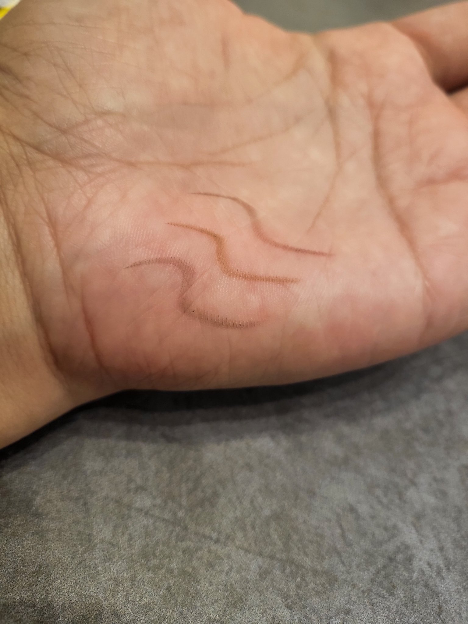 サナ ニューボーン パーフェクトアイブロウ/サナ ニューボーン/アイブロウペンシルを使ったクチコミ（2枚目）