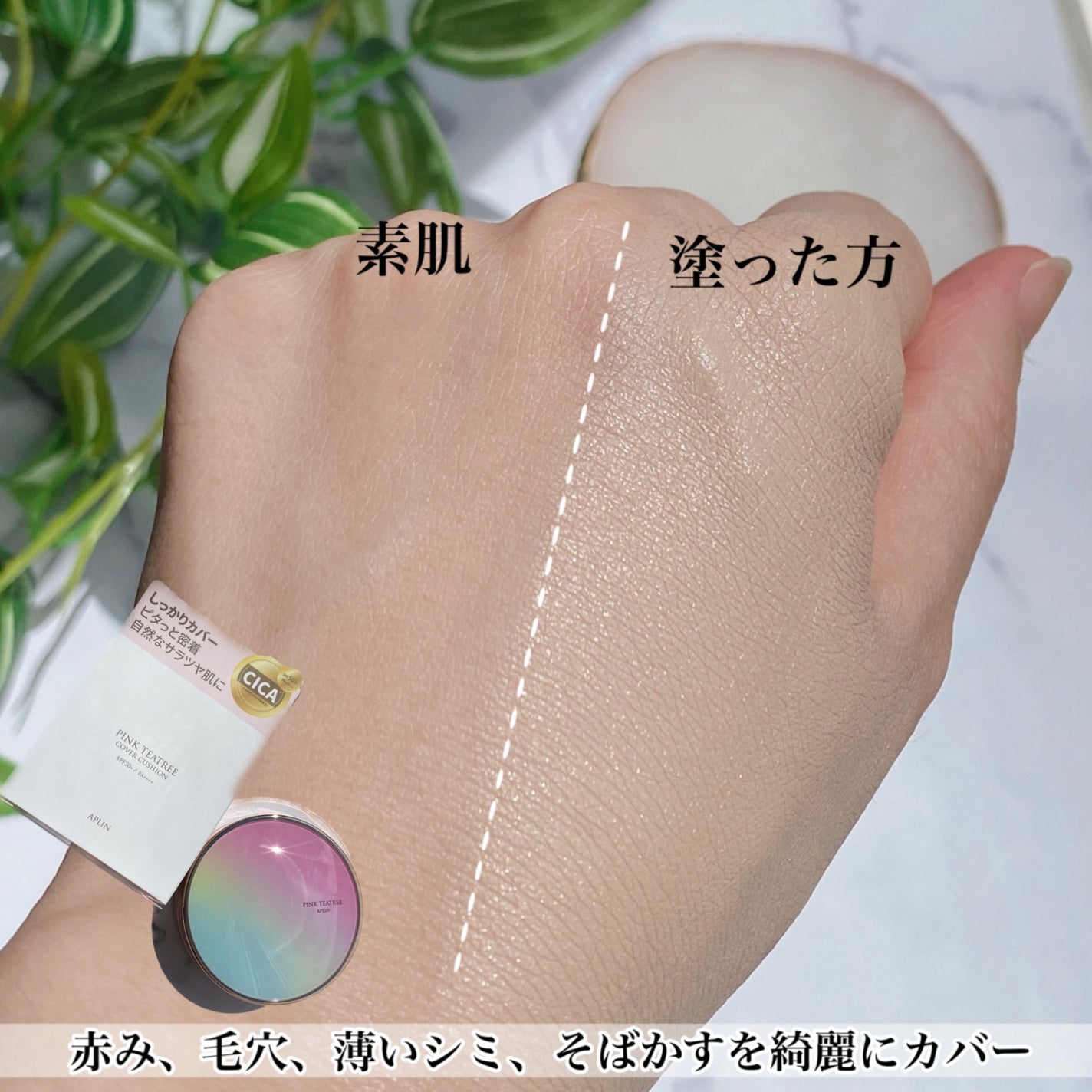 ピンクティーツリーカバークッション/APLIN/クッションファンデーションを使ったクチコミ(4枚目)