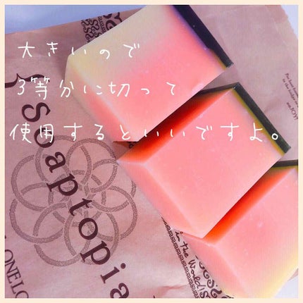 ボディブラシ/Soaptopia/ボディグッズを使ったクチコミ(4枚目)