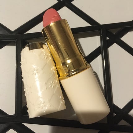 ラスティング リップカラーN/CEZANNE/口紅を使ったクチコミ(1枚目)