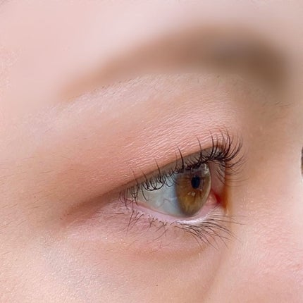 アイデザイナー/SNIDEL BEAUTY/アイシャドウパレットを使ったクチコミ(6枚目)