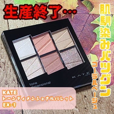 トーンディメンショナルパレット EX-3 コーラルベージュ系/KATE/メイクアップキットを使ったクチコミ（1枚目）