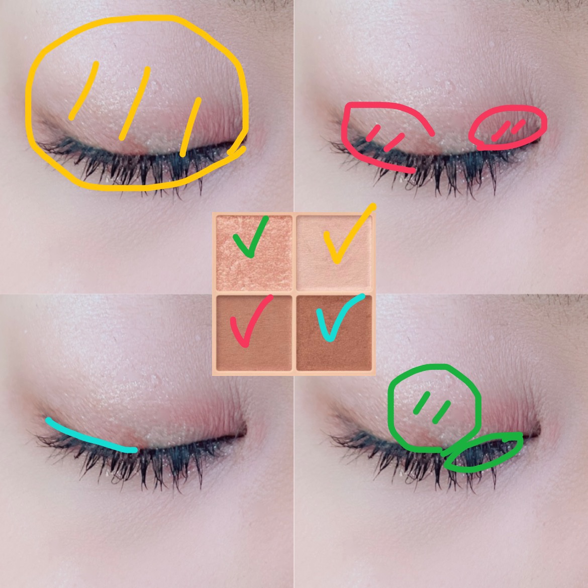 ベージュトーンアイシャドウ/CEZANNE/アイシャドウパレットを使ったクチコミ（2枚目）