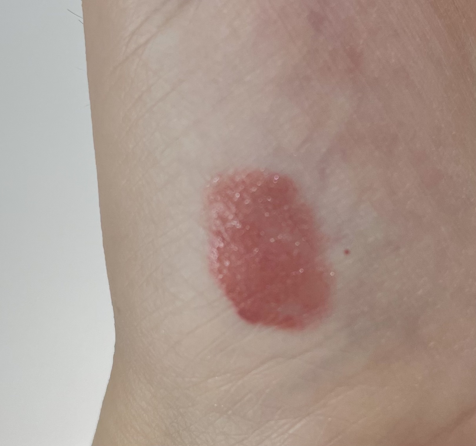 ラスティング プロボカリプス リップカラー/リンメル ロンドン/リップグロスを使ったクチコミ（3枚目）