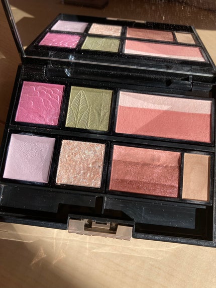 ドラマティックアイカラー (マルチ)/マキアージュ/マルチパレットを使ったクチコミ(2枚目)