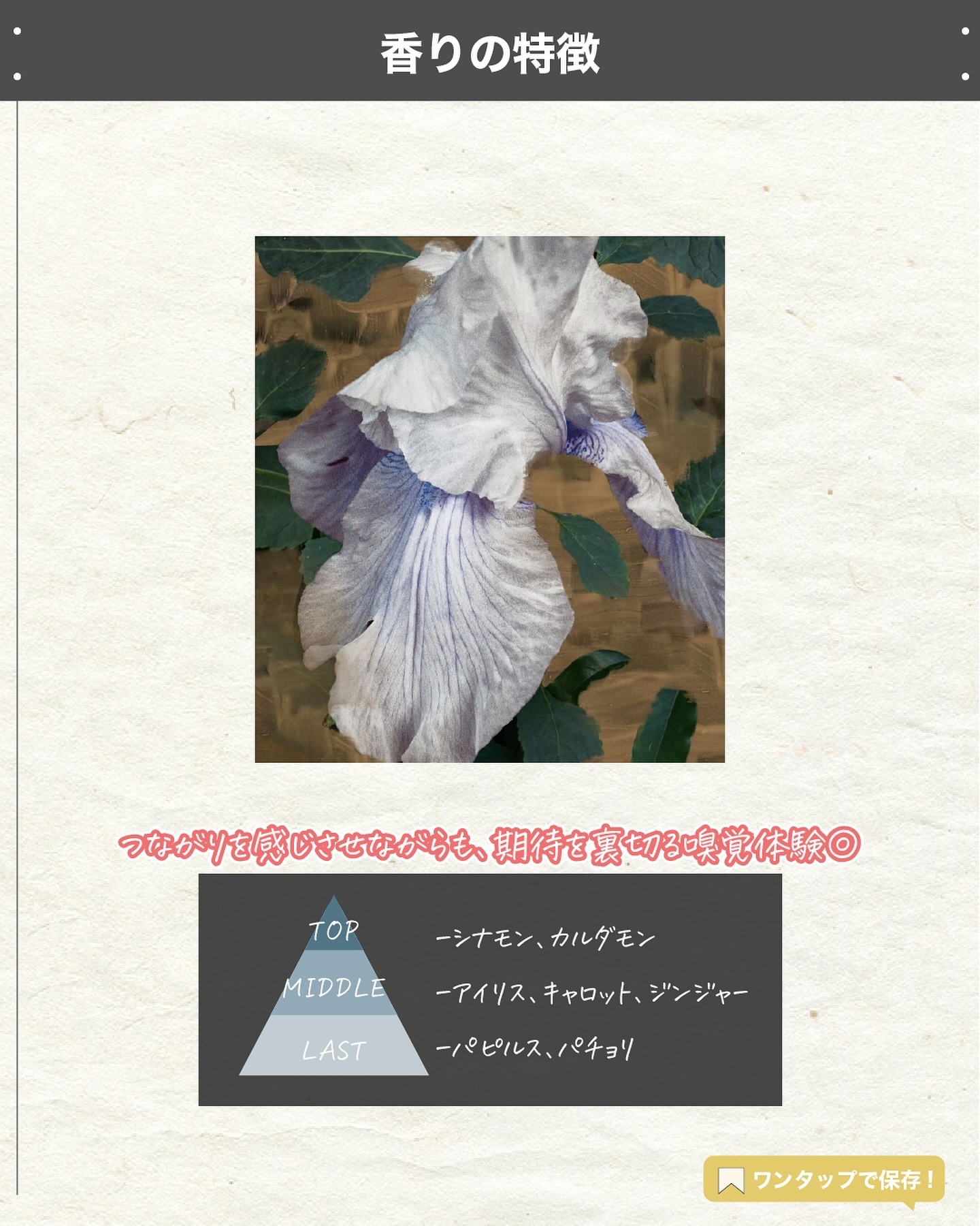 アイズ クローズド/BYREDO/香水(その他)を使ったクチコミ（3枚目）