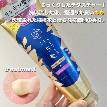 ãã¡ãŒãžãªãã¢ïŒã«ã©ãŒã±ã¢ ã·ã£ã³ããŒ/ã³ã³ãã£ã·ã§ããŒ/ãã¡é«ª/åžè²©ã·ã£ã³ããŒã䜿ã£ãã¯ãã³ãïŒ4æç®ïŒ