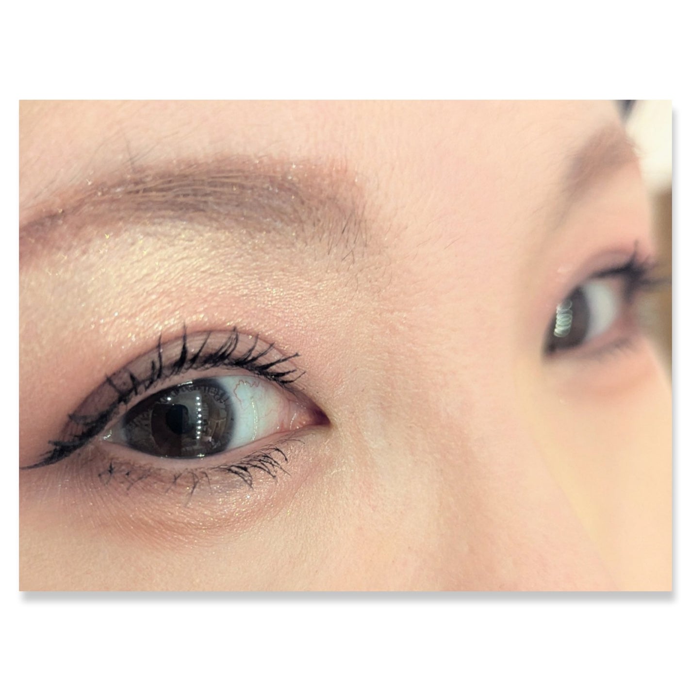 足しパレ/Fujiko/アイシャドウパレットを使ったクチコミ(2枚目)