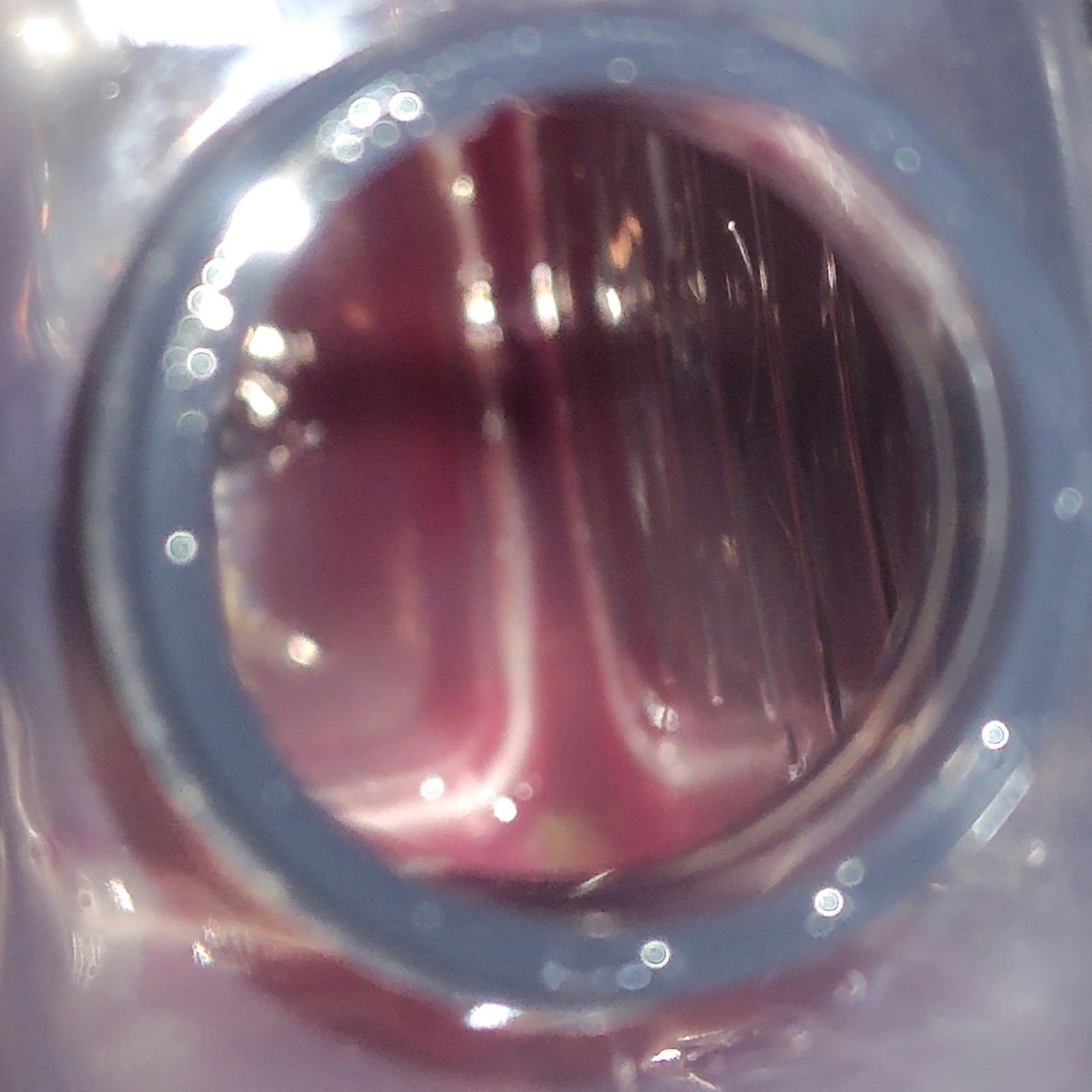 クレイボディウォッシュ スムース/DROAS/ボディソープを使ったクチコミ(3枚目)