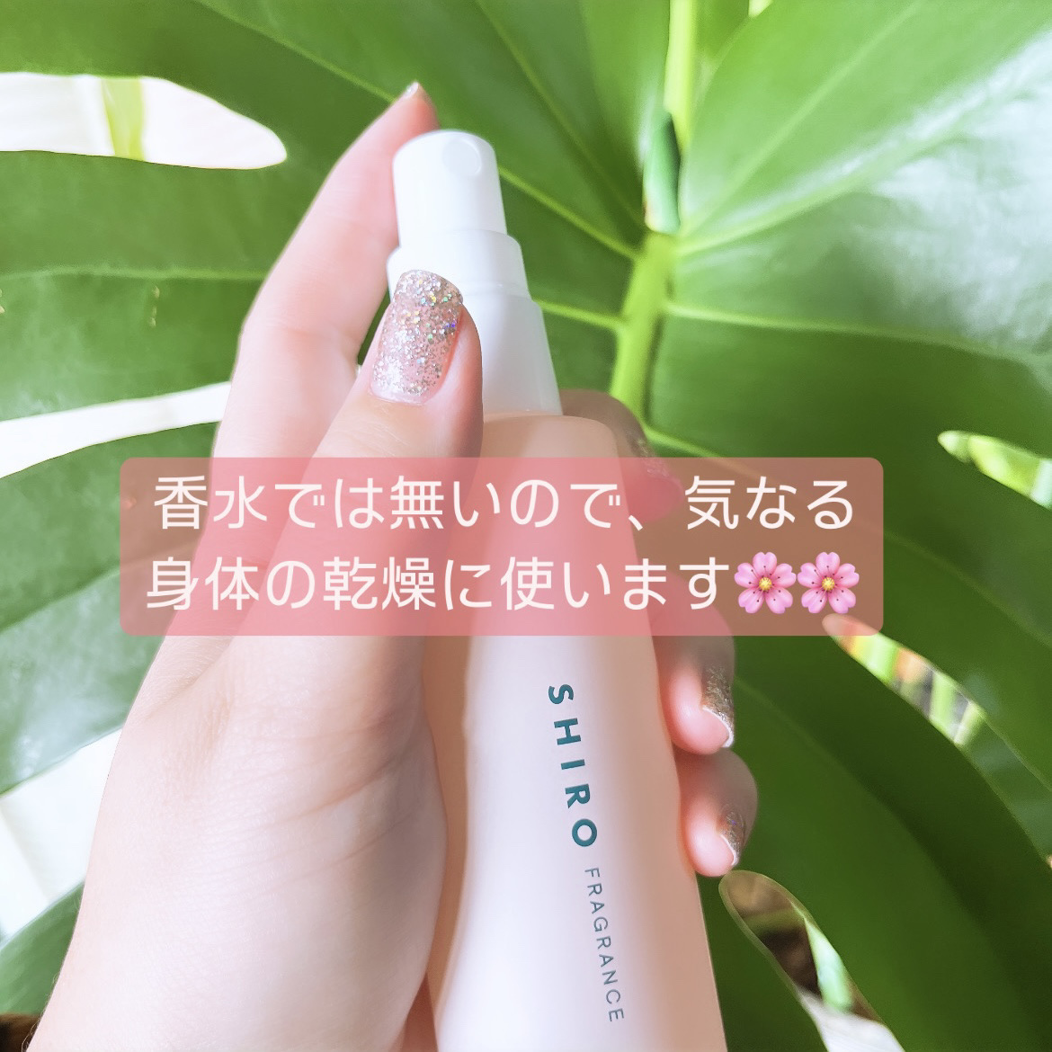 さくら219 ボディミスト/SHIRO/香水を使ったクチコミ（3枚目）