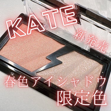 エレクトリックショックアイズ /KATE/アイシャドウパレットを使ったクチコミ（1枚目）