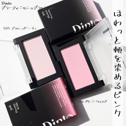 ブラーフィニシュシャドウパレット/Dinto/アイシャドウパレットを使ったクチコミ(3枚目)