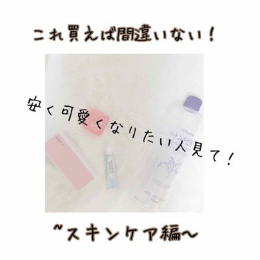 ハトムギ化粧水(ナチュリエ スキンコンディショナー R )/ナチュリエ/化粧水を使ったクチコミ（1枚目）