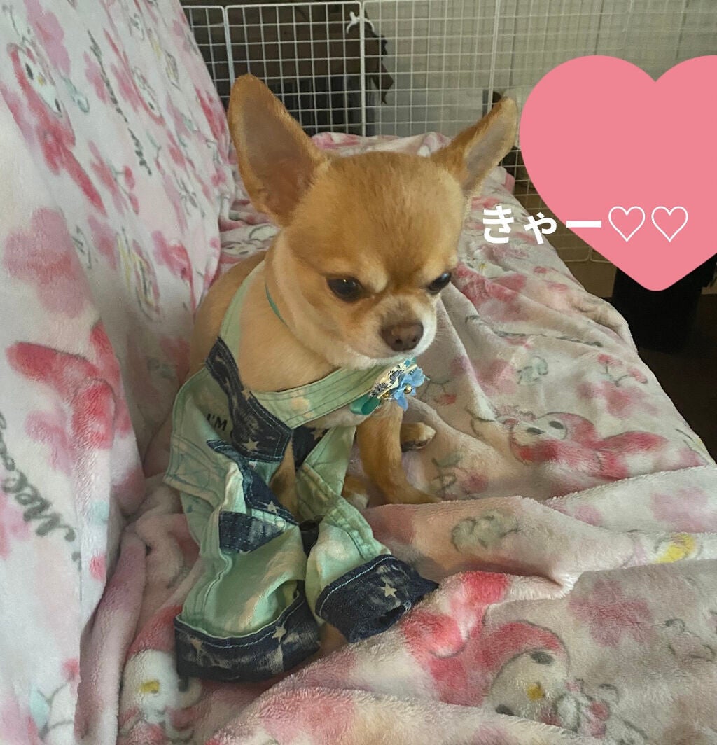 アイ カラー クォード/TOM FORD BEAUTY/アイシャドウパレットを使ったクチコミ(6枚目)