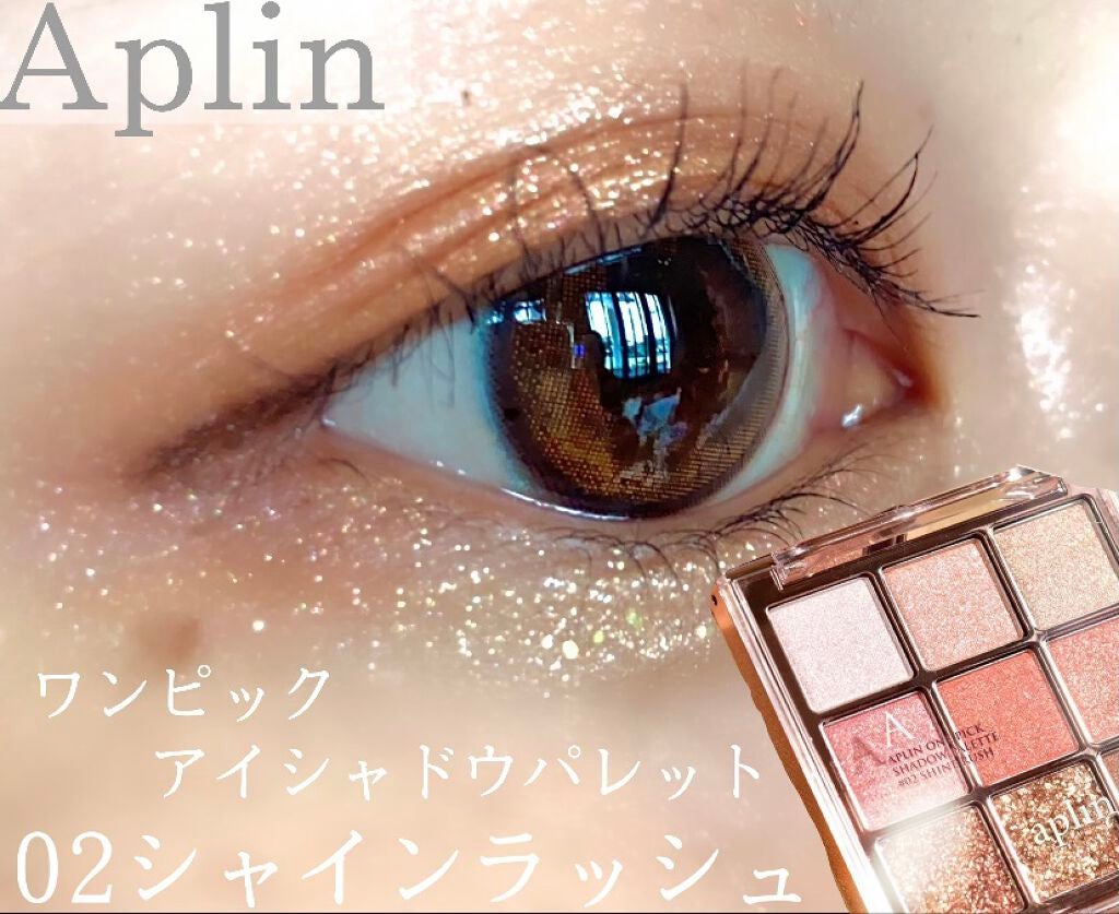 ワンピックアイシャドウパレット/APLIN/アイシャドウパレットを使ったクチコミ(1枚目)