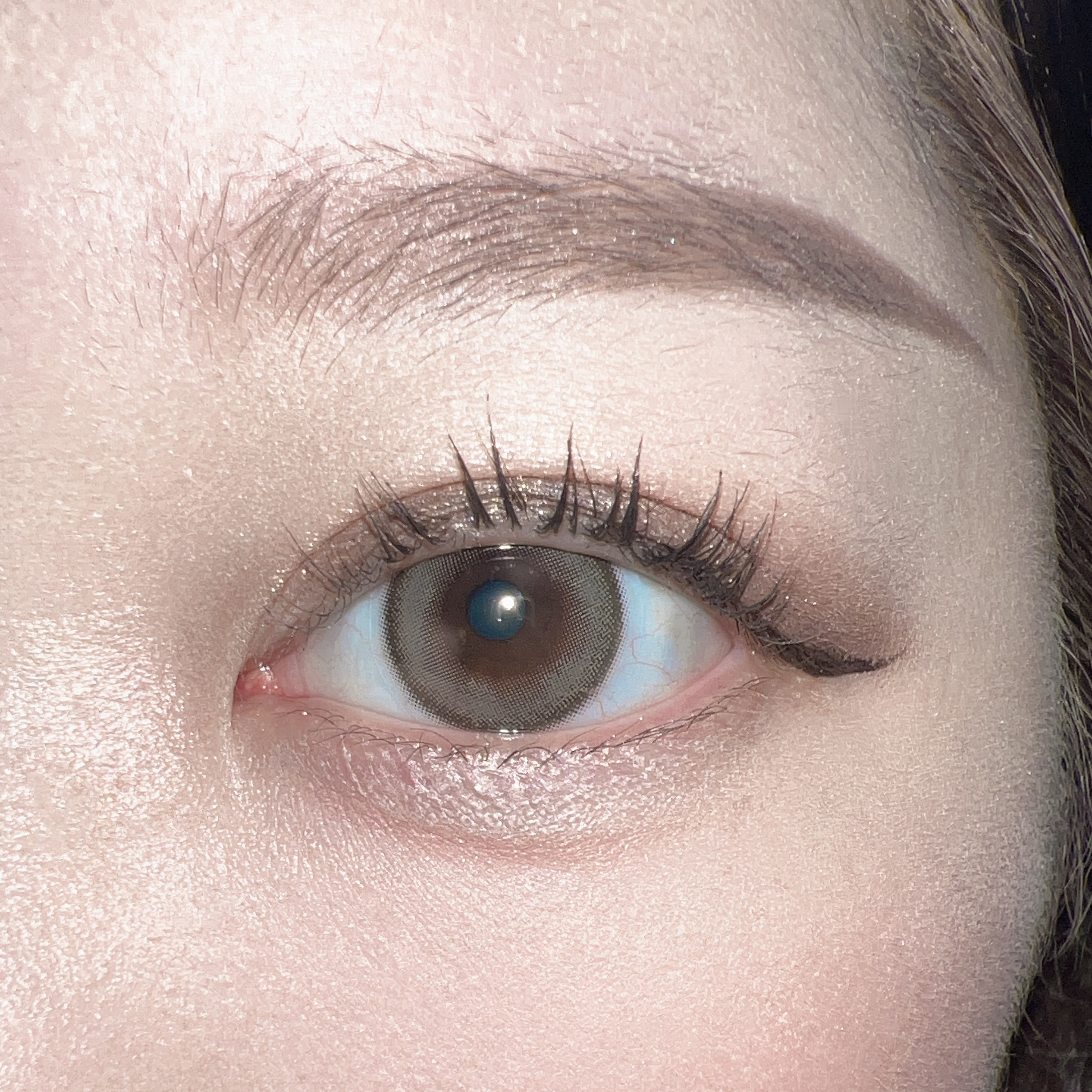 melotte 1day キャットリング/melotte/ワンデー（１DAY）カラコンを使ったクチコミ（1枚目）