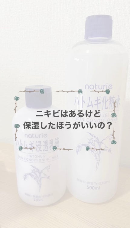 ハトムギ化粧水(ナチュリエ スキンコンディショナー R )/ナチュリエ/化粧水を使ったクチコミ(1枚目)