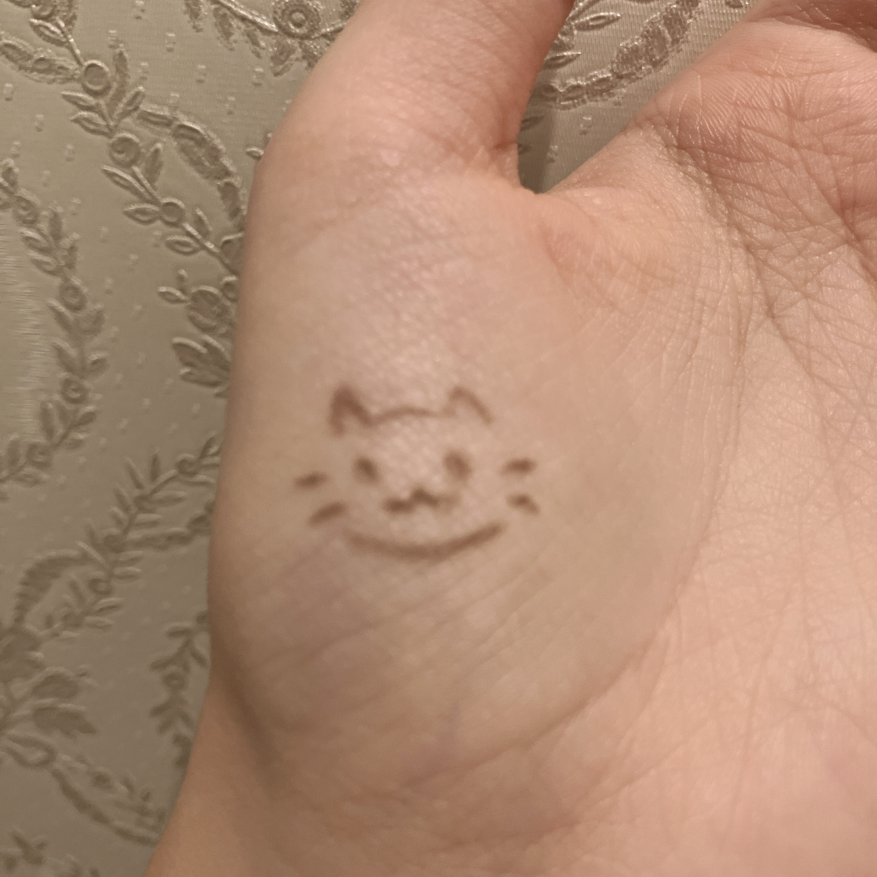 超細芯アイブロウ/CEZANNE/アイブロウペンシルを使ったクチコミ（3枚目）