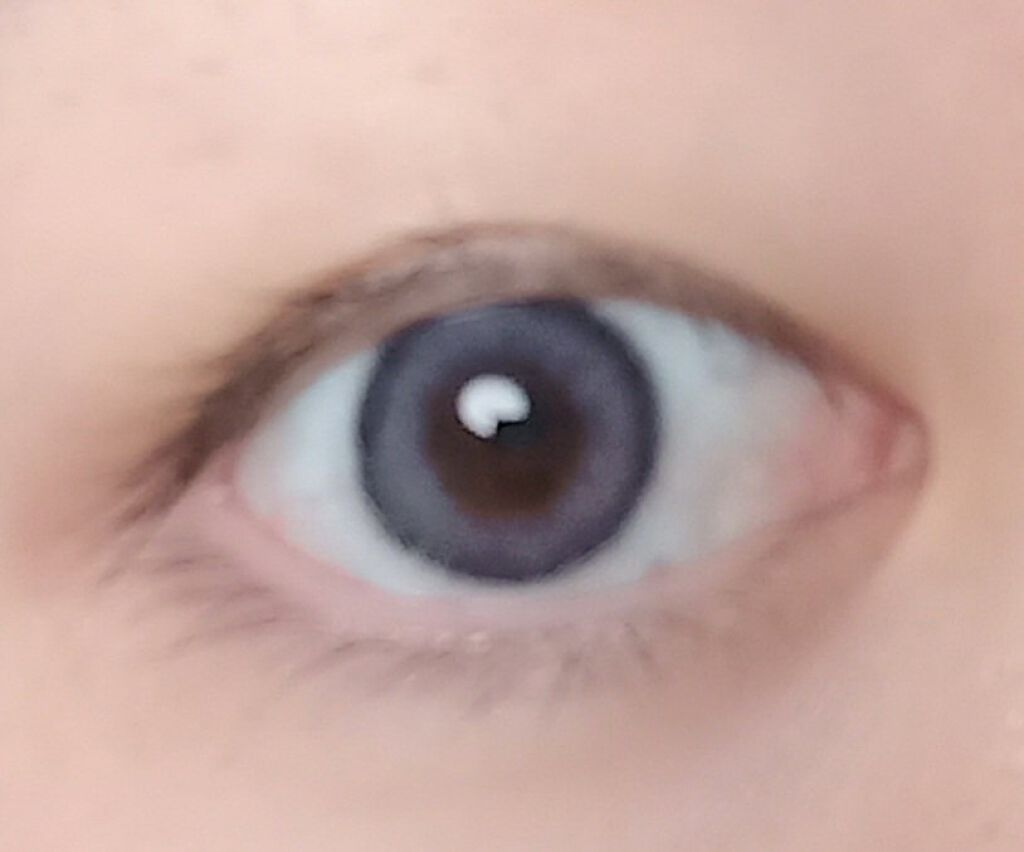 eye closet iDOL Series CANNA ROSE 1day ラベンダーグレー/EYE CLOSET/ワンデー（１DAY）カラコンを使ったクチコミ（3枚目）