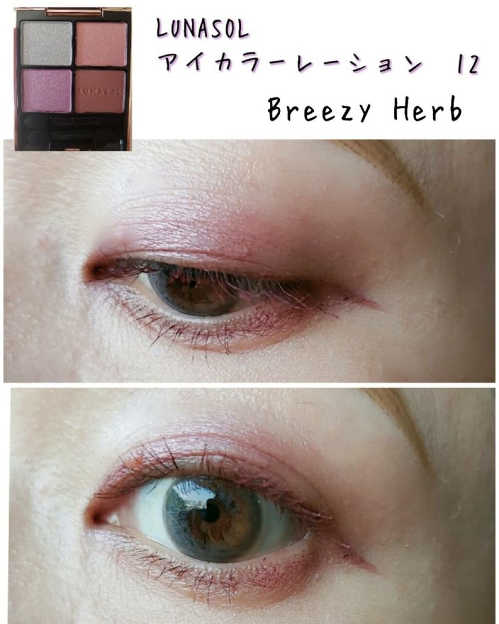 アイカラーレーション/LUNASOL/アイシャドウパレットを使ったクチコミ（1枚目）