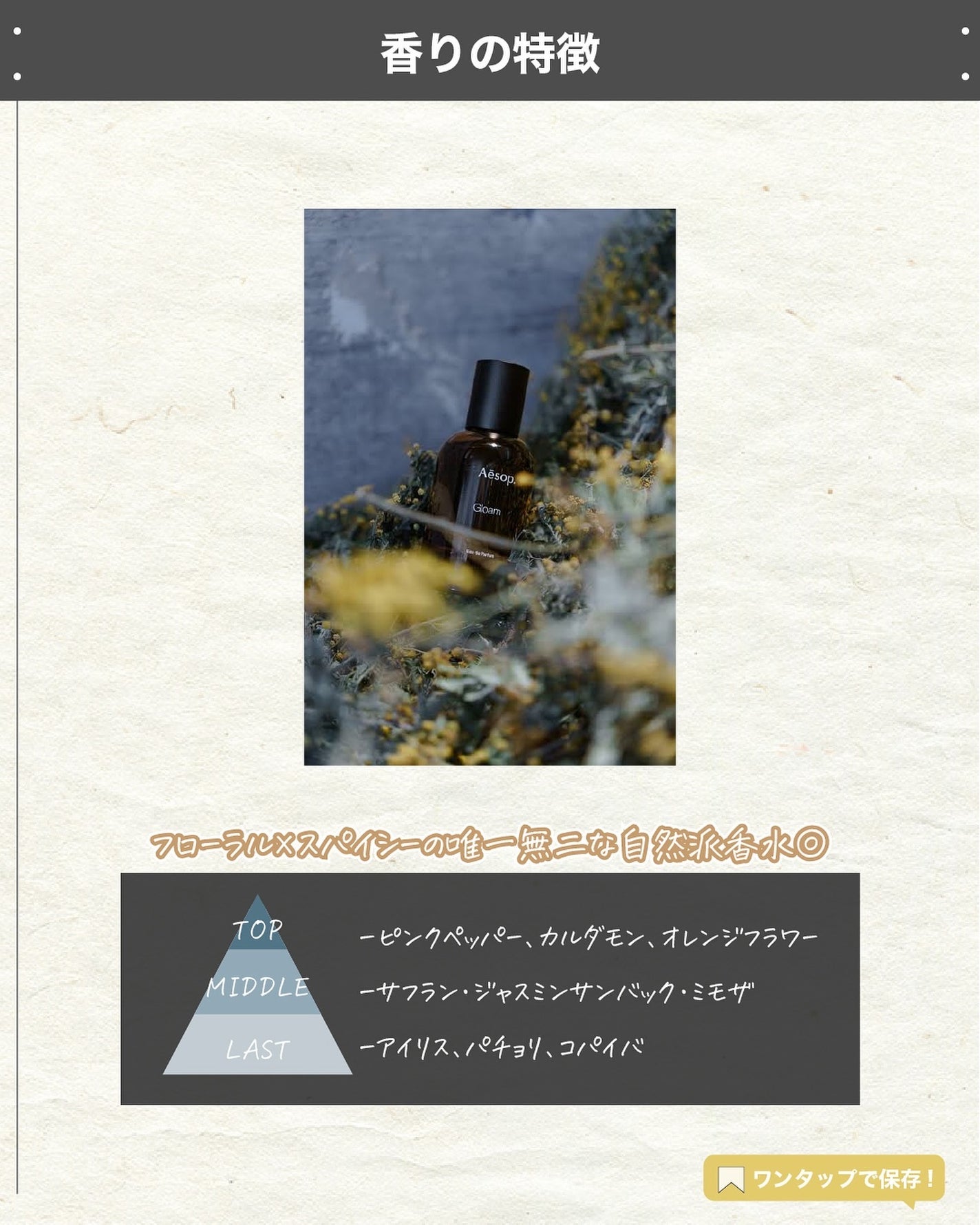 エスログ┊1日1分のモテ香水紹介 on LIPS 「.『男女兼用自然香水』🌳製品情報🌳Aesopグロームオードパル..」(3枚目)