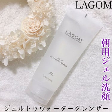 ラゴム ジェルトゥウォーター クレンザー(朝用洗顔)/LAGOM /洗顔フォームを使ったクチコミ（1枚目）