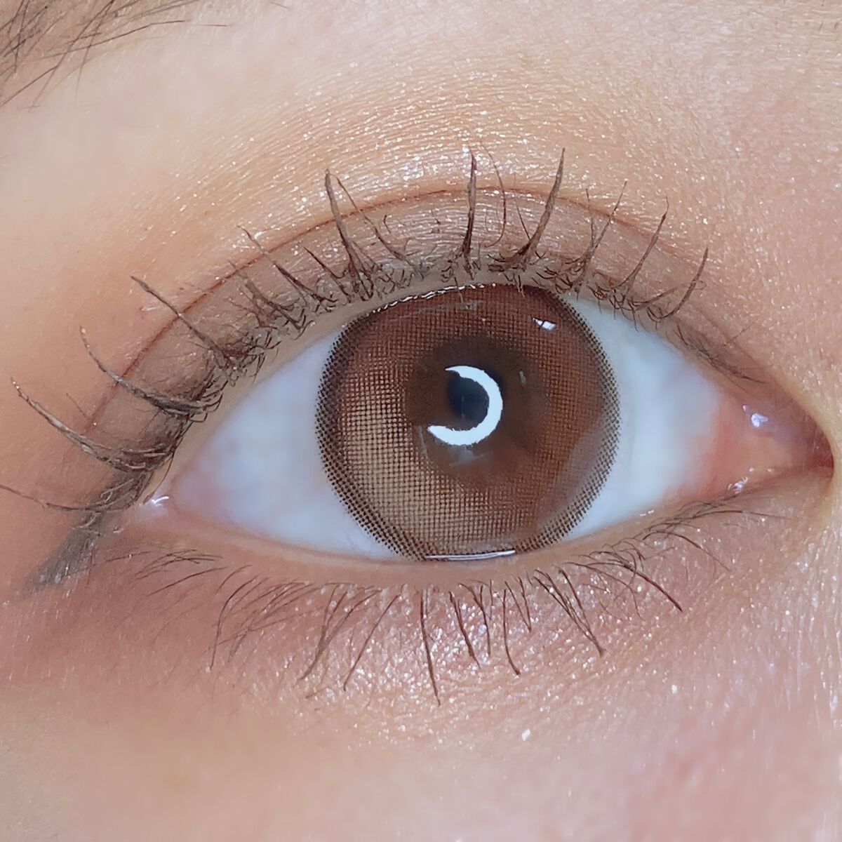 ウィッシュリングベージュ/ANN365LENS/カラーコンタクトレンズを使ったクチコミ（3枚目）