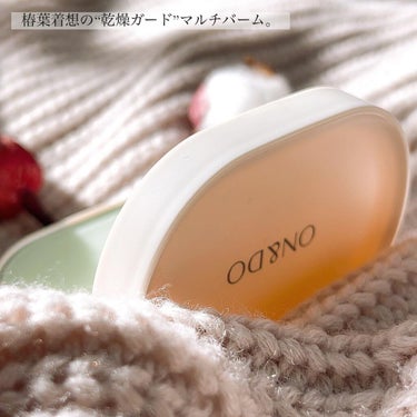 ON&DO LEAF BALMのクチコミ「♡
椿葉着想の“乾燥ガード”マルチバーム。

【ON＆DO】
◾︎リーフバーム
▶︎ @ona.....」（2枚目）