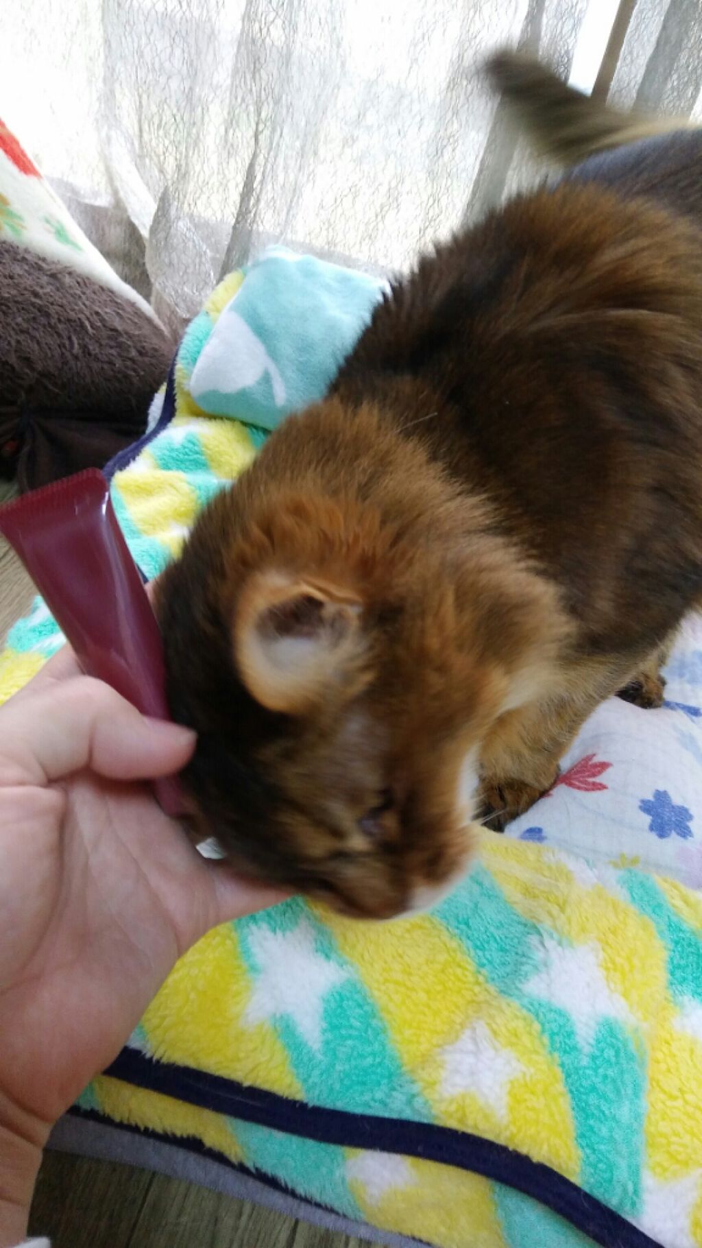 エテュセ リップエディション(グロス)/ettusais/リップグロスを使ったクチコミ(1枚目)